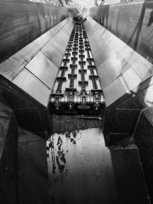 convoyeur grume pour industrie du bois